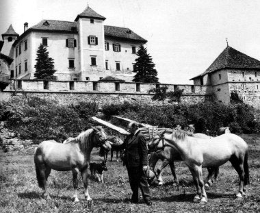 Il conte Zdenko Thun